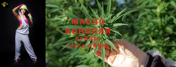 МДПВ Гатчина