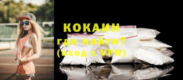 сатива Грязи