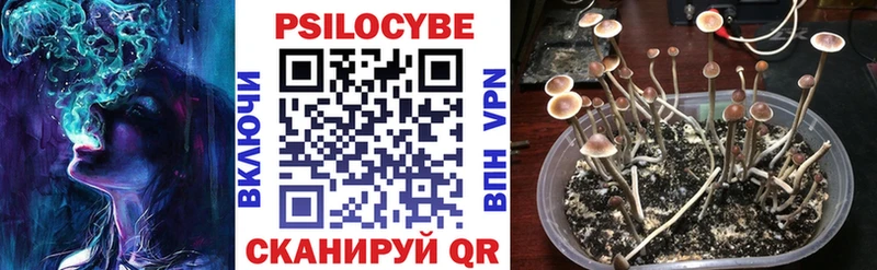 Галлюциногенные грибы Magic Shrooms  darknet наркотические препараты  Пучеж 